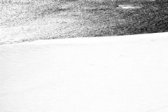 two-souls_2293722527_o